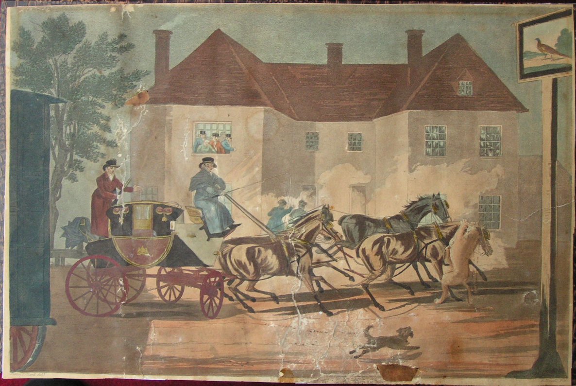 Aquatint - The Lioness Attacking the Horse of the Exeter Mail Coach. - Havell